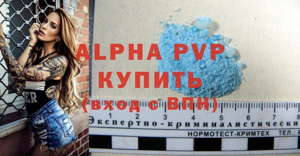 эйфоретик Беломорск