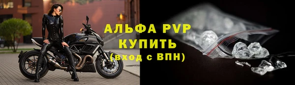 эйфоретик Беломорск