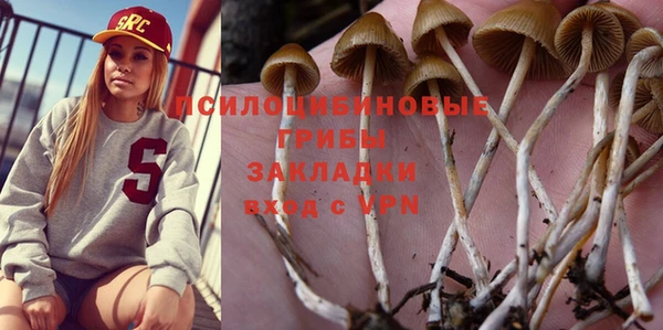 МДПВ Белокуриха
